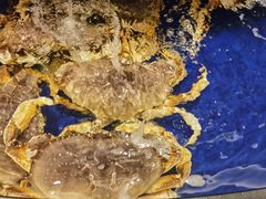 -海景壹号大酒店(滨湖店)