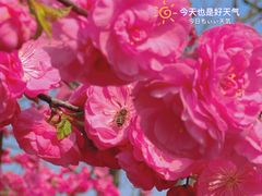-三里河公园