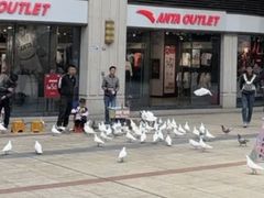 -大鹏佳兆业广场