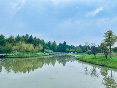-宁波杭州湾国家湿地公园