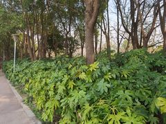 -美兰湖景区