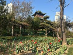 -迎泽公园
