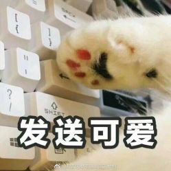 点击看大图 -镁连社·美联社