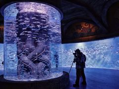 -波塞冬旅游度假区