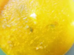 -阿莉餐厅(枣阳路店)