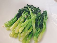 -食神鱼头佛跳墙(百子湾旗舰店)