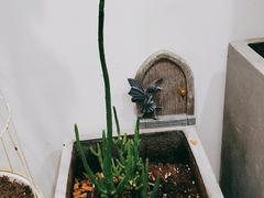 -AHAVA·Fang Baking Studio