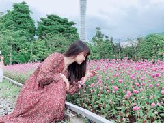 -二沙岛艺术公园