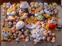 -逗柴咖啡屋·狗咖猫咖宠物桌游