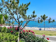 -海合安青岛极地海洋公园