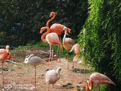 -西安秦岭野生动物园