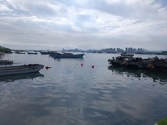 -养马岛旅游度假区
