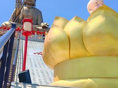 -龙口南山旅游景区