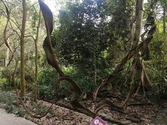 -广西壮族自治区药用植物园