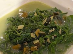 -陶缘一号·四季缘·老字号顺德菜·户外婚礼家宴(西滘店)