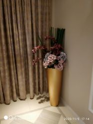 -蕾蕾美颜美容美体