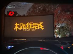 -枫花园汽车电影院(朝阳公园店)