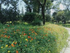 -国家植物园南园