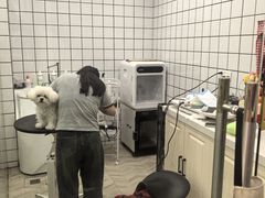 -Pets First伊珊娜洗护·精致美容·家庭式寄养(新会路店)
