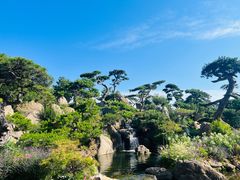 -罗红摄影艺术馆