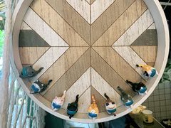 -喵屿·大理花园猫咖