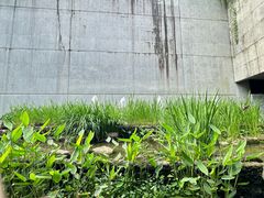 -中国湿地博物馆