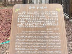 -黄帝陵