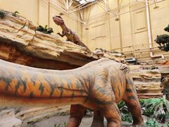 -国家自然博物馆