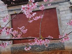 -建水文庙