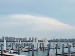 -五缘湾游艇帆船俱乐部