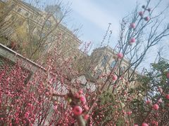 -郑州银基黄帝宫御温泉