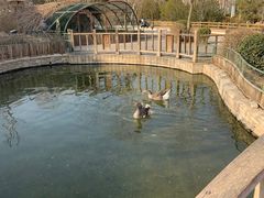 -南宫五洲植物乐园