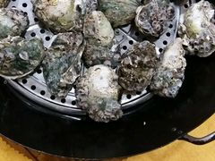-蚝专家(北滘店)