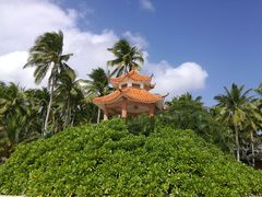 -东郊椰林