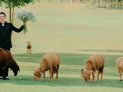 -金夫人婚纱摄影