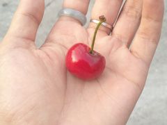 -上海虹口糕团食品厂(昌里东路店)