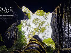 -梭布垭石林景区