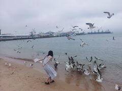 -海驴岛(荣成市)