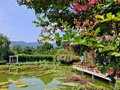 -国家植物园南园