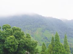 -欣怡茶庄·始于1999(梅家坞店)