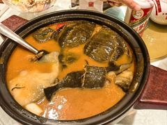 -潇湘甲鱼村(清河店)