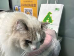 -半岛宠物医院24小时(科华中路店)
