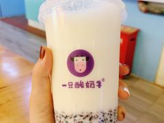 -一只酸奶牛(八一路店)