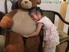 -伊豆泰迪熊博物馆