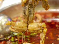 -味之绝美蛙鱼头火锅(高新店)