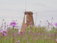 -漩门湾国家湿地公园