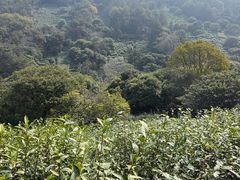 -缥缈峰景区
