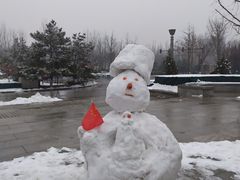 -大兴滨河森林公园