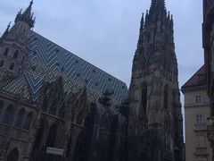 -斯蒂芬主教座堂(Stephansdom)