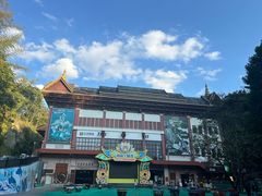 -西双版纳原始森林公园